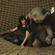 Image for article titled Weekend Box Office: Dumbo cruises below altitude